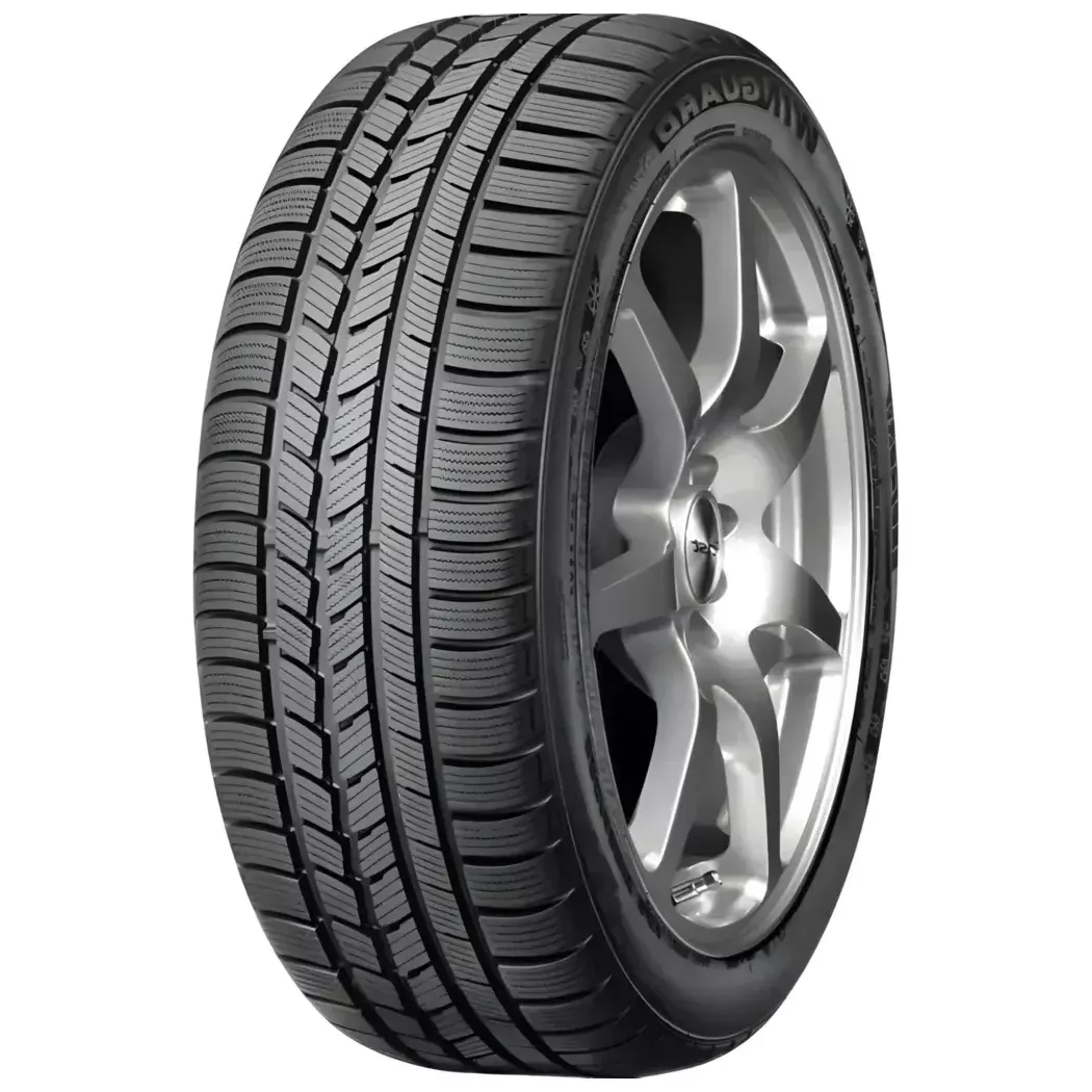 Roadstone Winguard Snow G 195/65R15 91T padangos