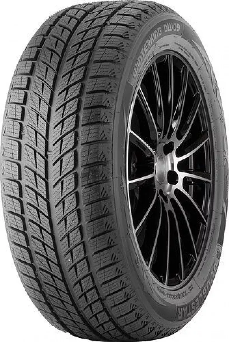 Doublestar DW09 255/55R20 107H padangos