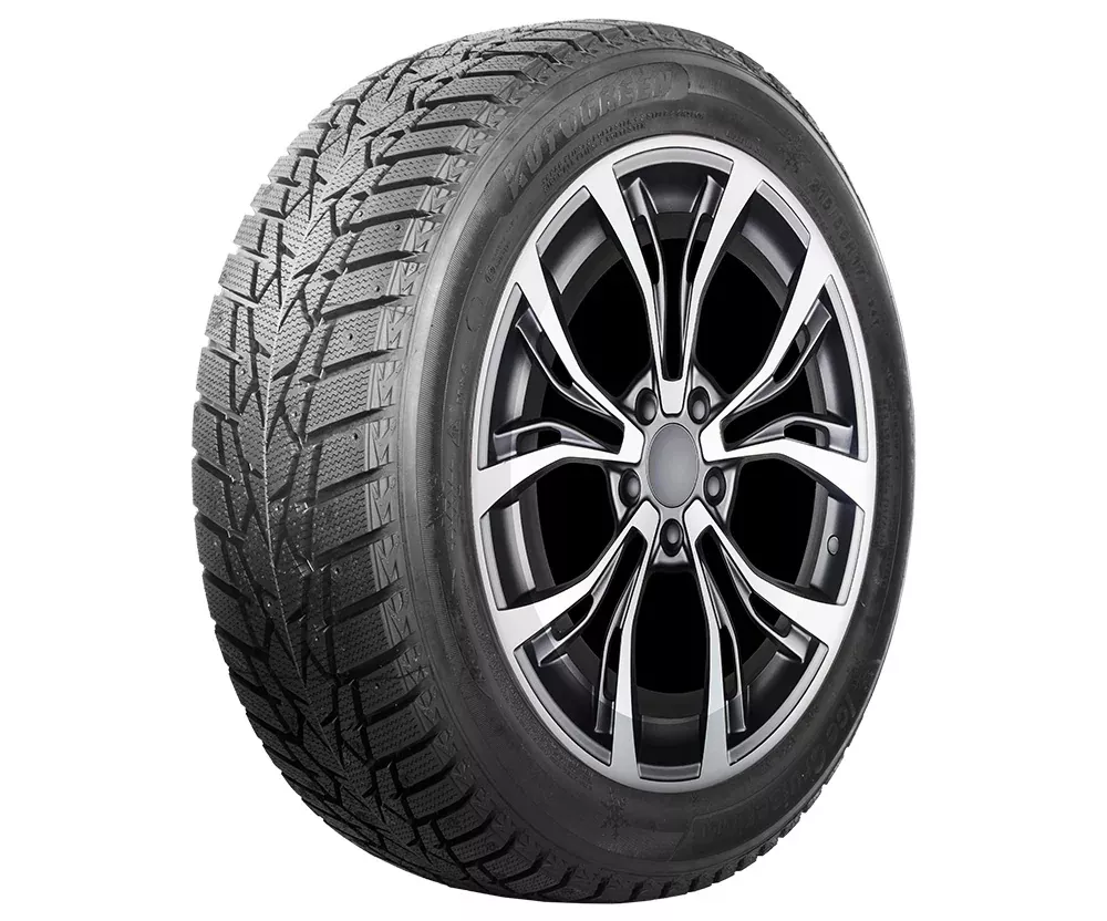 Autogreen IceCruiser AW01 205/55R16 91T padangos