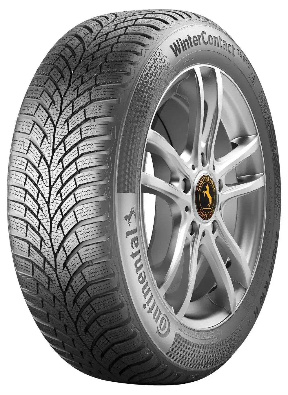 Continental WinterContact TS 870 195/65R15 91T padangos