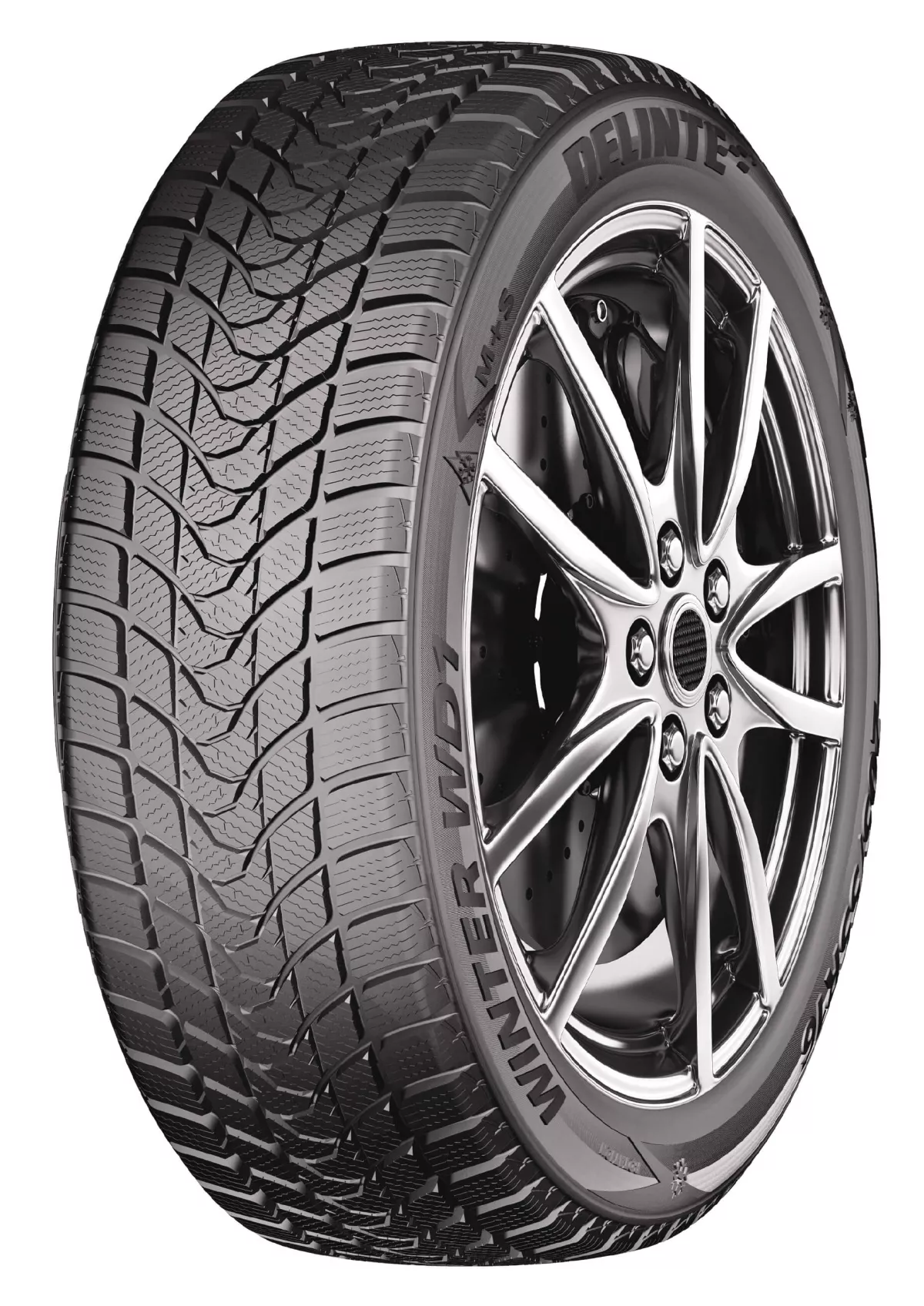 Delinte Winter WD1 245/50R18 100H padangos