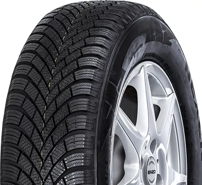 Nexen Winguard Snow G 3 WH21 205/55R16 91T padangos