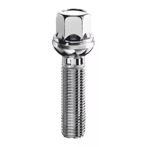 Varžtas S17F39 R12 14x1.25 hex17 39mm