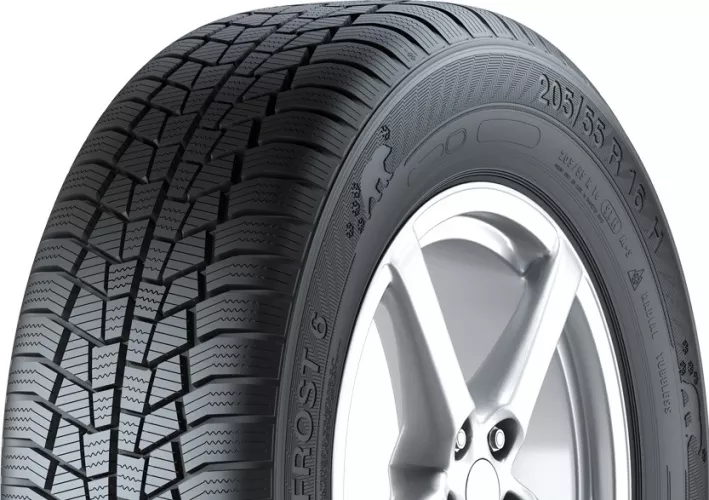 Gislaved Euro Frost 6 225/45R17 94V XL padangos