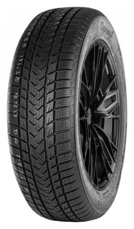 Gripmax Suregrip eWinter 205/40R17 84V XL padangos