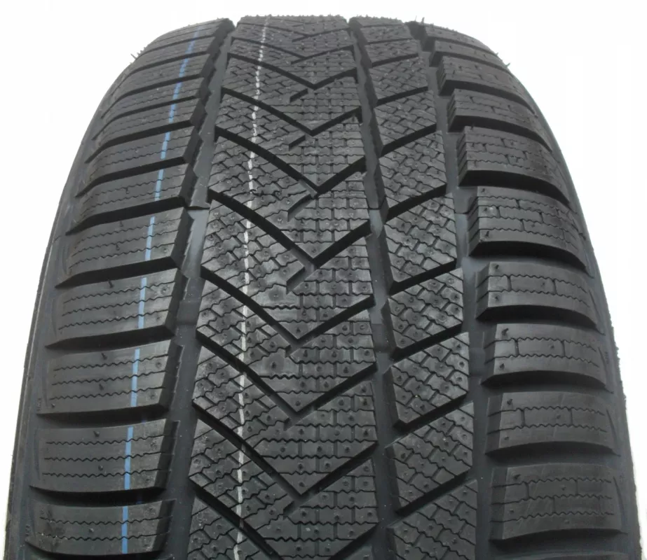 Sunny Wintermax NW211 205/55R16 91H padangos
