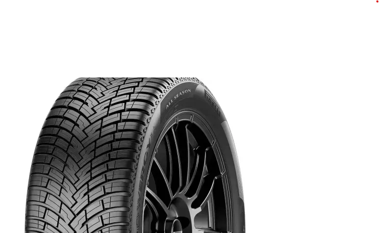 Pirelli POWERGY All Season M+S 225/50R18 99W XL padangos