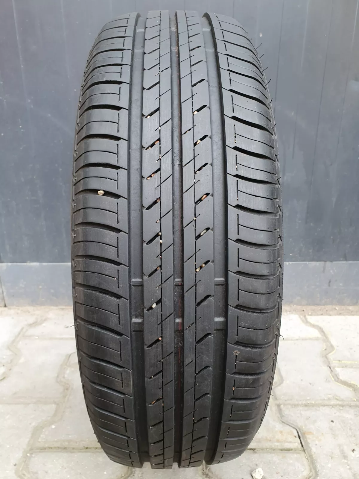 Bridgestone Ecopia 195/65R15 padangos