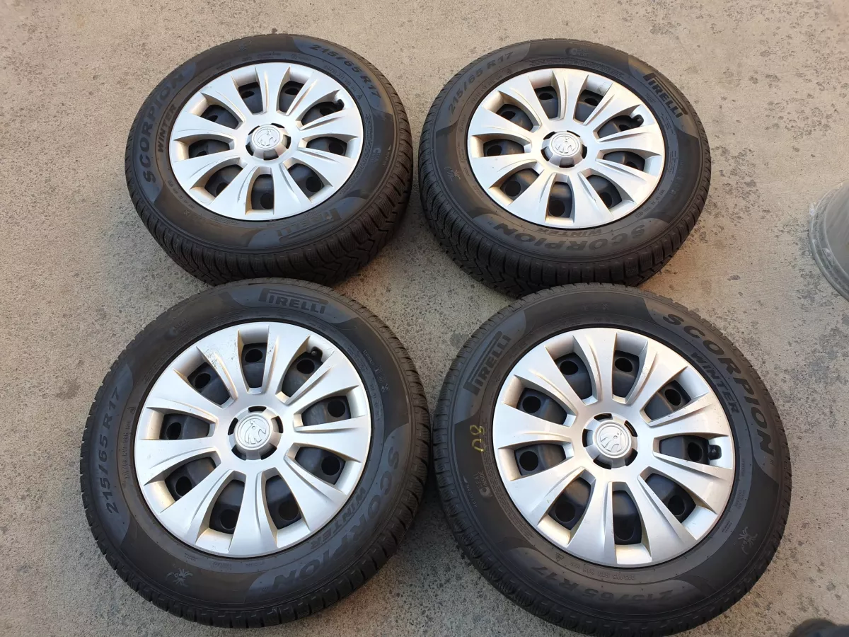 Škoda Ratlankiu gaubtai R17