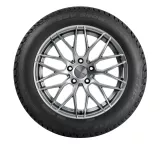 Kormoran SUV Snow 215/65R16 102H XL padangos