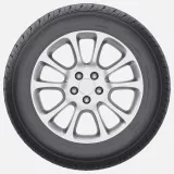 Fortune FSR303 (Austone) 215/65R16 102V XL padangos