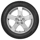 Falken Eurowinter HS01 175/60R18 85H padangos