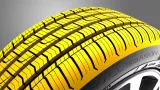 Dunlop Sport All Season 225/55R17 101W XL padangos