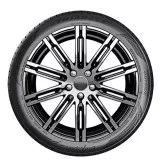 Triangle EffeXSport TH202 215/50R17 95Y XL padangos
