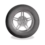 Kormoran SUV Summer 235/55R19 105V padangos