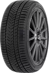 Autogreen Winter-max A1-WL5 255/40R19 100V XL padangos