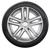 Dunlop Winter 205/55R19 97V XL padangos
