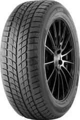 Doublestar DW09 255/55R20 107H padangos