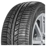 Yokohama Bluearth Winter (V905) 255/40R19 100V XL padangos