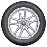 Bridgestone Weather Control A005 255/50R19 103T XL padangos