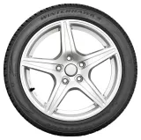 Firestone Winterhawk 4 225/60R17 99H padangos
