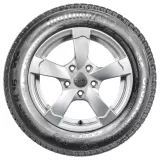 Continental Cccw 275/45R19 108V XL padangos