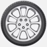 Fortune FSR701 275/35R18 99W XL padangos