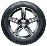 Nexen WinGuard Snow G 3 WH21 225/55R16 95H padangos