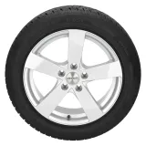 Petlas Snowmaster W651 215/50R18 92V padangos