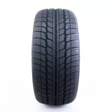 Sunny SN3830 Snowmaster 225/55R19 99V padangos