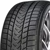 Gripmax Suregrip Pro Winter 205/40R18 86V XL padangos