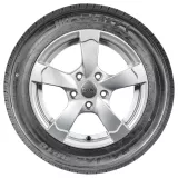 Westlake Z401 205/55R16 94V XL padangos