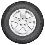 Continental Contivc 100 EVC 215/65R16C 109/107T padangos