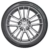 Bridgestone Turanza All Season 6 235/55R19 105W XL padangos