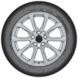 Debica Navigator 3 195/55R16 87H padangos
