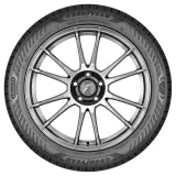 Goodyear Eagle F1 Asymmetric 6 255/50R19 107T XL padangos