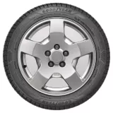 Goodyear UltraGrip Performance+ 205/55R19 97V XL padangos