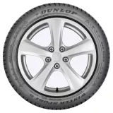Dunlop Winter Sport 5 215/60R16 99H XL padangos