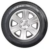 Bridgestone Blizzak W810 215/75R16C 116/114R padangos