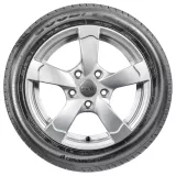 Goodyear EfficientGrip Performance 205/55R16 91V padangos