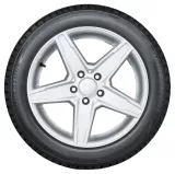 Bridgestone Blizzak LM001 Evo 195/65R15 91T padangos (2023 m.)