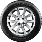 Cooper Weathermaster SA2 + (T) 175/65R14 82T padangos