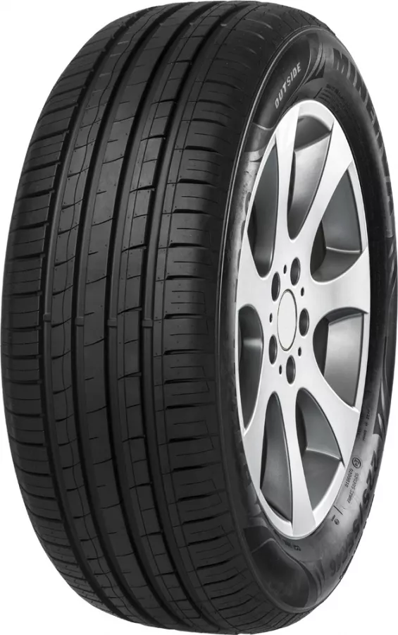 Minerva F209 205/55R16 91V padangos