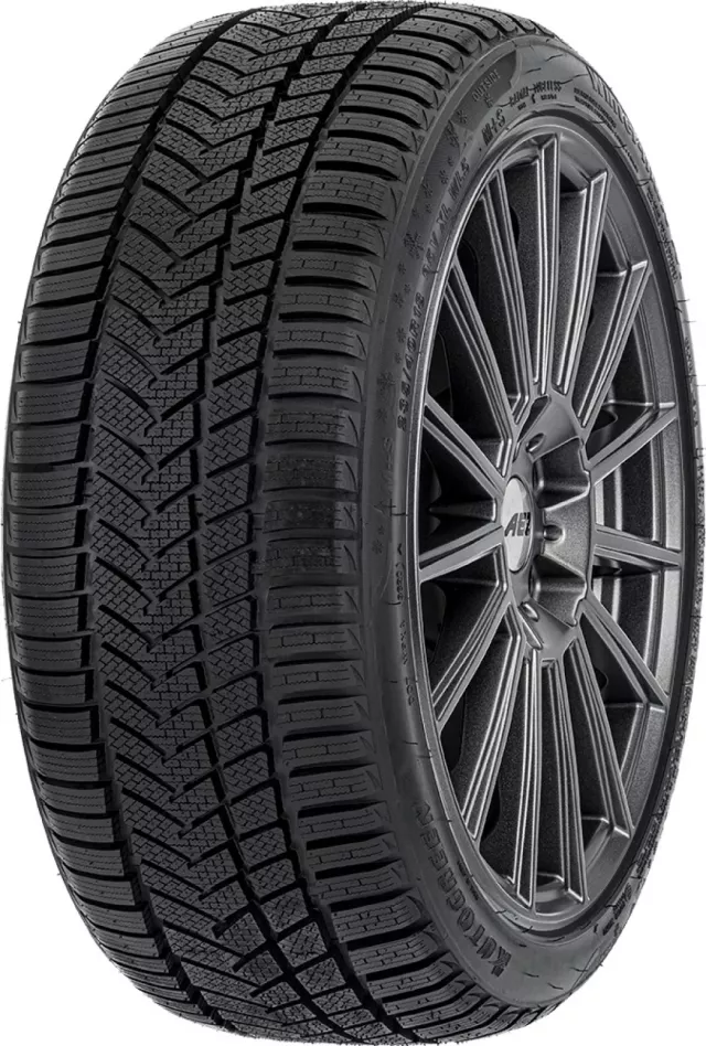 Autogreen Winter-max A1-WL5 255/40R19 100V XL padangos