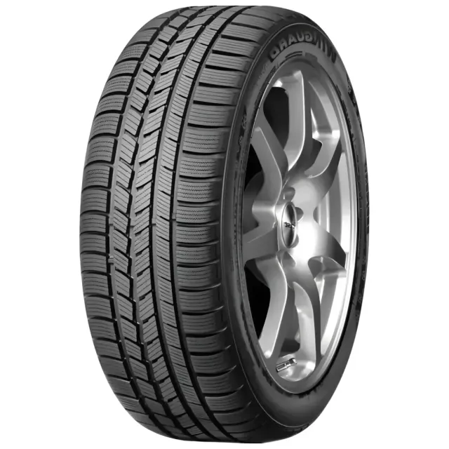 Roadstone Winguard Snow G 195/65R15 91T padangos