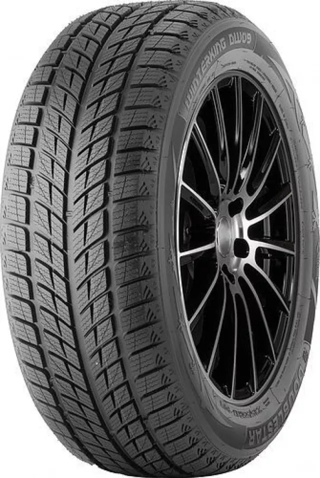Doublestar DW09 255/50R20 109H XL padangos