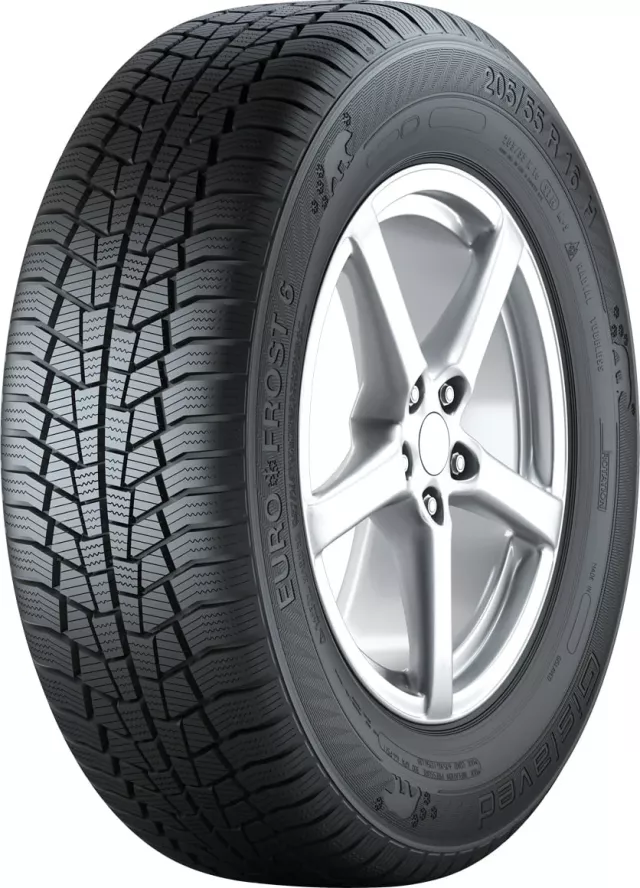 Gislaved Euro Frost 6 225/45R18 95V XL padangos