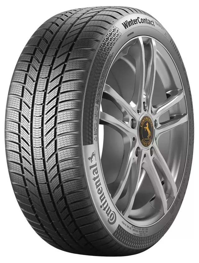 Continental WinterContact TS 870 P EVC 255/50R19 107V XL padangos