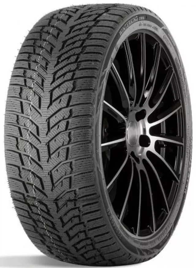 Doublestar DW08 205/55R16 91T padangos