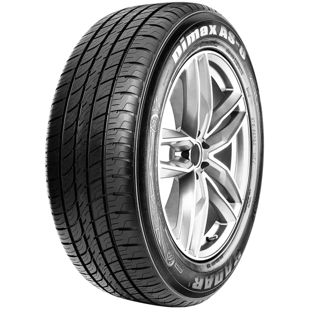 Radar Dimax All Season 255/45R20 105Y XL padangos